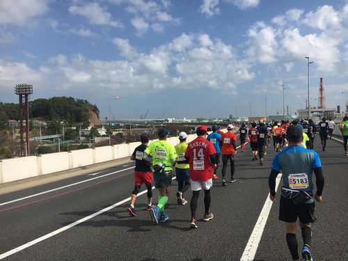 横浜マラソンのランナー達