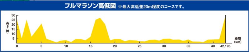 佐倉マラソン高低差